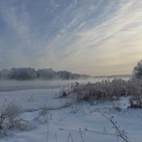 Морозный день :: Татьяна Белогубцева