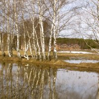 весенняя вода :: Влад 