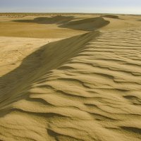 пески Сахары 2 :: julia 