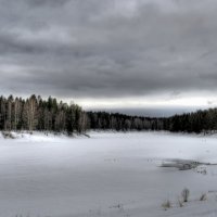 14.02.2016. Плесцы. :: Роман Шостак