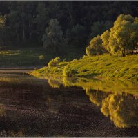 Тополиный пух, жара, июнь... :: Olenka 