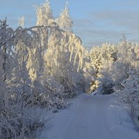 КОГДА ЗЕМЛЯ УКУТАНА В ГЛАМУРНЫЙ БЕЛЫЙ ПУХ. :: Андрей Иванович (Aivanovich-2009)