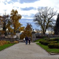 Осенний парк :: Ольга 
