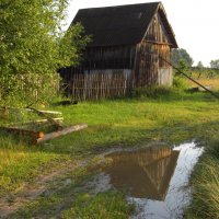 После дождя... :: Владимир Щеглов