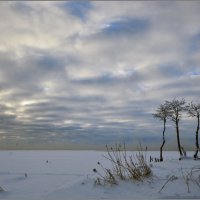 *** :: Николай Кувшинов