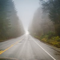 В тумане на шоссе 101 США :: Михаил Аверкиев