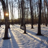 Весь год жду наступления этого времени :: Андрей Лукьянов