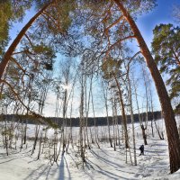 Остров на озере :: Натали Акшинцева