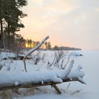 северный день :: Елена 