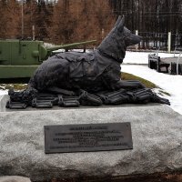 Памятник фронтовой собаке :: Владимир Болдырев