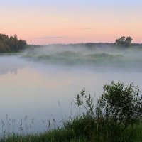 Ах, эти летние туманы по утру..... :: Павлова Татьяна Павлова