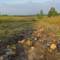 После дождя :: Владимир Щеглов