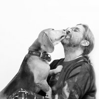 Любовь к собакам обязательна! :: Тата Казакова