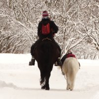 Уходящие вдаль натуры :: Владимир Гилясев