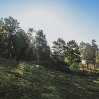 Осеннее утро :: Алёнка Шапран