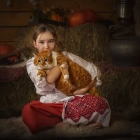 Хорошего кота должно быть много :: Людмила Лебедева