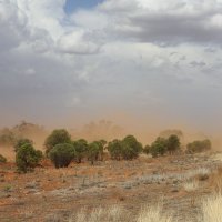 Буря в пустыне.Австралия :: Антонина 