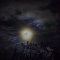Ночь. Луна. :: Александр Кореньков