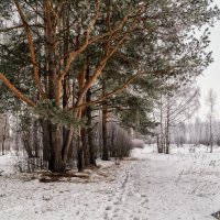 Вот такой вот февраль :: Андрей Дворников