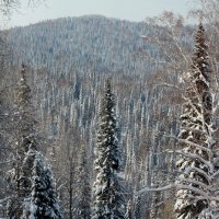 Зима :: Радмир Арсеньев