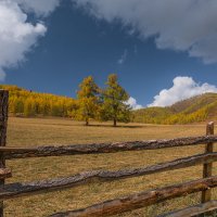 звенящая осень... :: Наталья Маркова