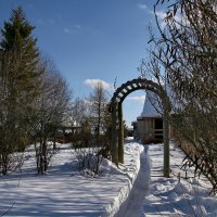 Прокопаны тропинки в снежном одеяле на даче. :: Пётр Сесекин