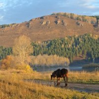 осеннее утро :: Володя Коваленко