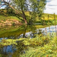 Лето. :: Александр Тулупов