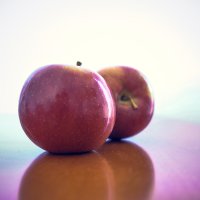 apples :: A.M. Photo