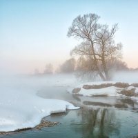 Утро туманное :: Николай Андреев