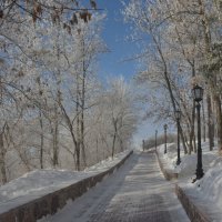 Дорожка в зимнем парке :: Сергей Тагиров