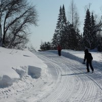 Путь домой :: Радмир Арсеньев