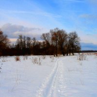 Лыжные прогулки. :: Александр Атаулин