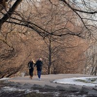 Весна ещё в начале... :: Владимир Болдырев