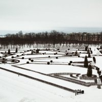 Вид на зимний парк :: Aнна Зарубина