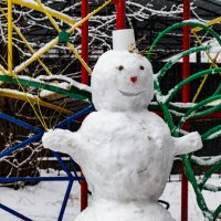 веселый снеговик :: Alexandr Yemelyanov