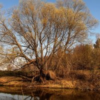 река Хмара :: Людмила Василькова