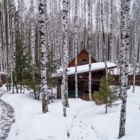 баня на даче :: Александр Шамов