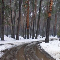 До срока талая вода... :: Лесо-Вед (Баранов)