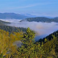 Крадутся по долине туманы :: Сергей Чиняев 