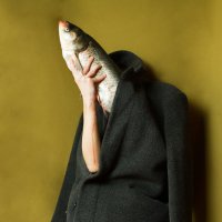 The fish :: Karen Khachaturov