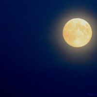 луна :: Катя Медведева