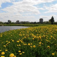 Городской пейзаж :: Марина Ильина