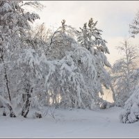 В январе :: Татьяна Афанасьева