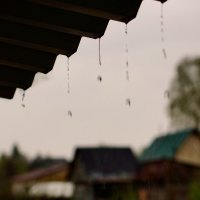 Дождь :: Константин Антошкин