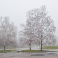 Туман :: Олег Полянский