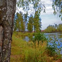 На запрудке :: Надежда Соколова