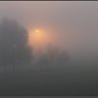 Ёжик в тумане... :: vm3 