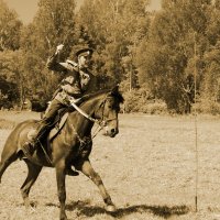 Cavalery competion :: Alexey Afonin