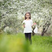 Расцветали яблони и груши... :: Наталья Лузинова
